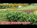Download Lagu Ang bilis LUMAGO NG ATING LAGIKWAY