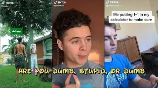 Download ARE YOU DUMB, STUPID, OR DUMB TIKTOK COMPILATION MP3