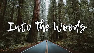 Into The Woods - Acoustic Playlist for Peaceful Moments