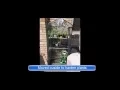 Mini Greenhouse 10