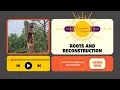 Roots Reconstruction