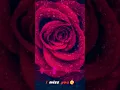 Download Lagu Nan Vangum Suvasangal Ellam - Oru kaditham - Romantic Ringtone #song #romance #love #editing