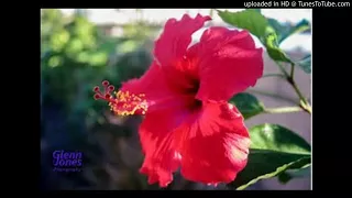 Sirba Jaalalaa Best Love Fandishee Oromo Music Subscribe 10Q 