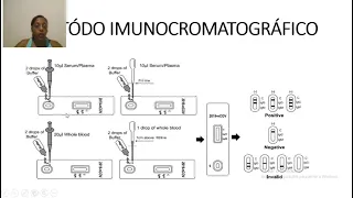 MÉTODO IMUNOCROMATROGRÁFICO