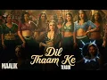 Dil Thaam Ke | MAALIK | NEW SONG 2025 | BOLLYWOOD DANCE SONG | @tipsofficial | ROMANTIC SONG | #song
