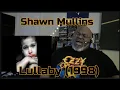 Everything Is Gonna Be All Right Shawn Mullins - Lullaby 1998 Reaction Review