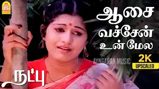 aasai vachen 2k sad video song natpu karthik sripriya ilaiyaraaja