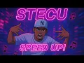 Download Lagu Stecu Stecu (SPEED UP) - Faris Adam | Viral Tiktok 2025