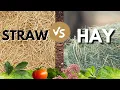 Straw Vs Hay For Garden Mulch Compost What Is the Difference Why Is One Potentially Harmful