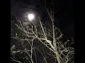 I was only temporary super mega slowed