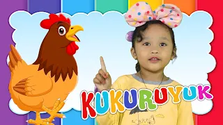 Download LAGU AYAM KUKUKURUYUK - LAGU ANAK INDONESIA POPULER MP3