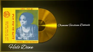 Halo Dawe Oromoon Fardaan Dabaale Oromo Music 