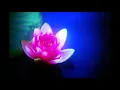 LOTUS  (juju vermissen/khaliba type beat) [freebeat] prod. by imperialbeatz441