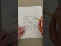 Chapter 5 Test Review