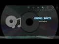 Download Lagu Cintaku TokTil | Nini Carlina