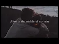 The song "Al-Shami Kifo" translated @alshamimusic  اغنية الشامي كيفو مترجمه 