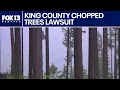 Download Lagu Homeowner sued by King County says tree work was about safety, not views