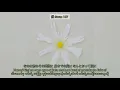 恋だろ ( Koidaro ) -Wacci ( Japanese , Romaji and Myanmar Subtitle)