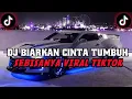 DJ BIARKAN CINTA TUMBUH SEBISANYA || DJ KARNA SU SAYANG JEDAG JEDUG MENGKANE VIRAL TIKTOK