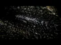 Flight through wooden voxelspace