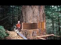Download Lagu Fastest Big Chainsaw Cutting Tree Machines Skills, Incredible Homemade Wood Cutting Machines