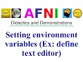 AFNI Academy Setting environment variables Ex def text editor