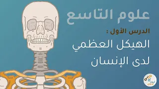 علوم التاسع الهيكل العظمي لدى الإنسان دورة 2025 