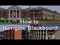How to Navigate Blackboard