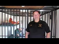 Lenoir Jail Prevention Trailer
