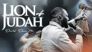 lion of judah david dam official video