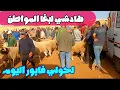 Download Lagu مباشرة من سوق خميس تاوجطات اليوم 26/6/2025 تمن لحولي فابور والنعجة الوالدة والضارة لحولي الصردي