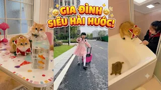 🚨 TỔNG HỢP SIÊU HÀI 🤣 Ba Hậu Đậu Vứt Nhầm Mèo Con & Hành Trình Giải Cứu Khóc Thét 😱