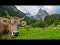 Download Lagu Zomer in Zwitserland - Hoogseizoen in het Berner Oberland en Co.