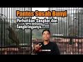 Download Lagu Begini Ganti SANGKAR dan Tangkringan TRUCUKAN Yang Benar