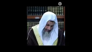 أنشودة  كالغيث كن نفعا   الشيخ مصطفى العدوي دندنها