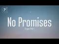 Download Lagu Shayne Ward - No Promisess