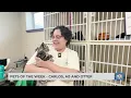 WVHS Pets of the Week Carlos MJ and Otter