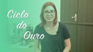História do Brasil: Ciclo do Ouro