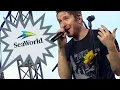 Download Lagu Owl City at SeaWorld Orlando during To The Moon Deluxe tour LIVE 4/7/2024
