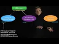 Lecture 06 concept 23 Common simulation visualisation tools
