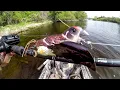Download Lagu Memancing dengan Umpan Burung untuk MONSTER Sungai!