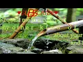 bamboo fountain shishi odoshi  noise relaxing sound of nature White Noise 1 hour relaxing noise ASMR