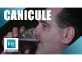 Download Lagu Canicule: quand la télé conseillait de boire 1,5 litre de bière par jour | Archive INA