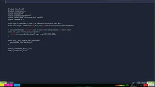 Write a Reverse Shell in C