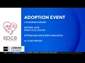 Free pet adoption event on Saturday