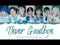NCT DREAM - 'Never Goodbye' Lyrics Color Coded (Han/Rom/Eng) | @HansaGame