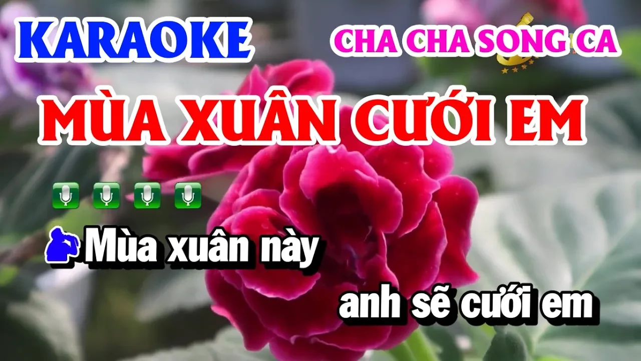 Karaoke Nhạc Sống Cha Cha | Mùa Xuân Cưới Em Dm Song Ca | Karaoke Thanh Hải