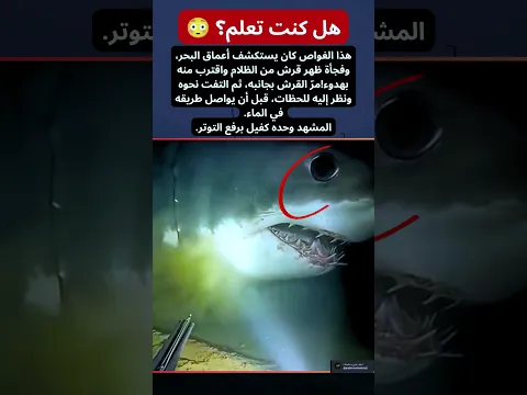 هل كنت تعلم؟ قرش يظهر من الظلام ويمر بجانب غواص! 😱