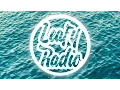 Download Lagu TheFatRat - Windfall