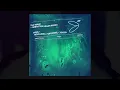The Wave (Sébastien Léger remix) by AWEN, Moullinex, GPU Panic & Xinobi